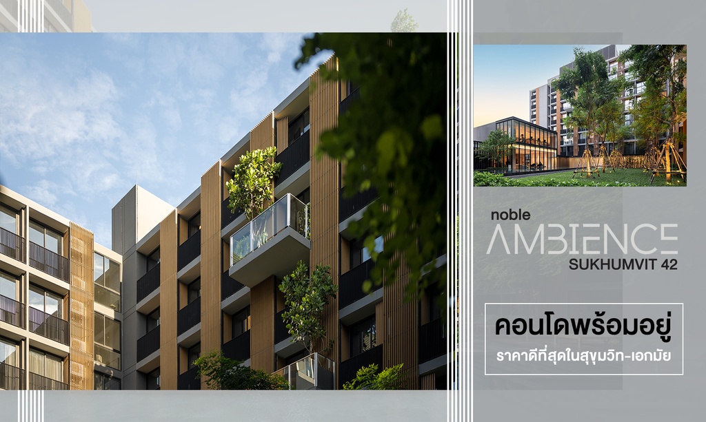 Noble Ambience 42